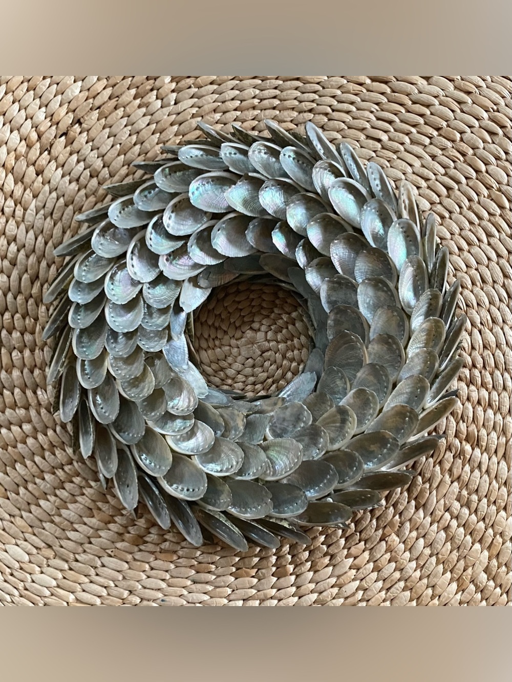 9" Iridescent Abalone Seashell Wreath – Coastal Home Decor